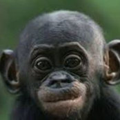 Chris Ireland's photo