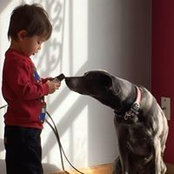 Liliana Troy's photo