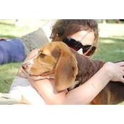 Carrie Zetty's photo