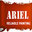 Ariel Reliable Painting