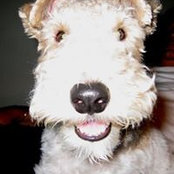 Jenni Zoeckler's photo