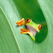 Kévin Petit's photo