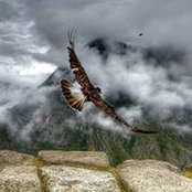 Foto von Sharon Wilkinson