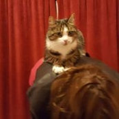 Deborah Raikesmay's photo