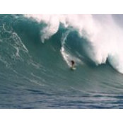 Dan Moore's photo