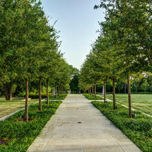 Landscape Ideas