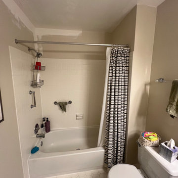 Transitional Small Bathroom Remodel in Arlington, VA