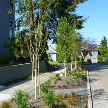 Park Strip