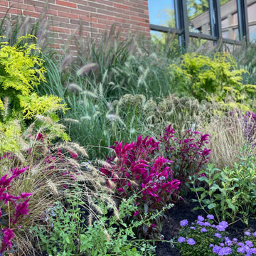 Fall Gardens
