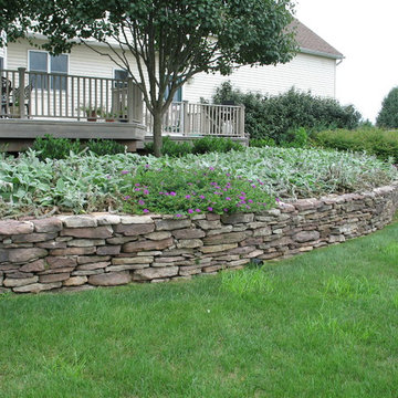 Our Projects