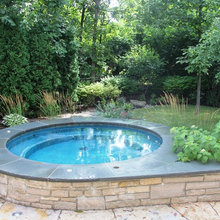 Chicago pool/spa