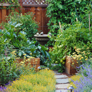 Burlingame Backyard Vegetable Garden