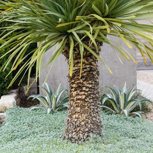 Outdoor spaces