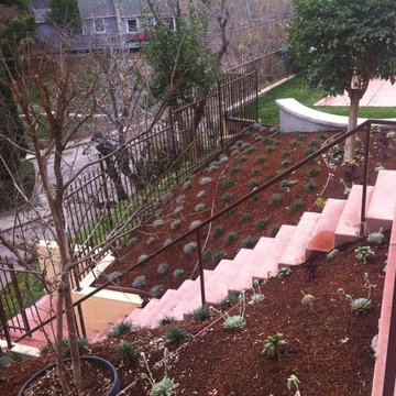 Drought-tolerant Hillside