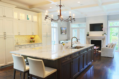 Example of a transitional kitchen design in Chicago