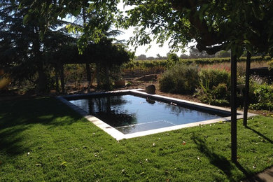 Hot tub - mid-sized transitional backyard tile and rectangular lap hot tub idea in San Francisco
