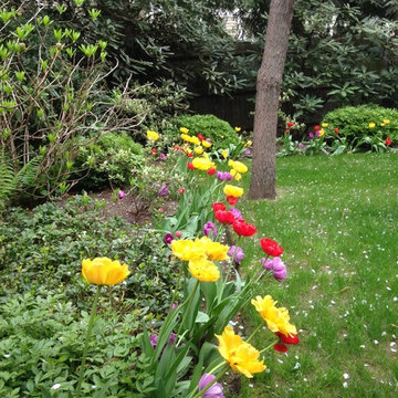 spring flowers