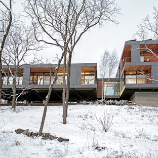 Выдающиеся фото от архитекторов и дизайнеров интерьера: большой, двухэтажный фасад дома серого цвета в стиле модернизм с плоской крышей и зеленой крышей