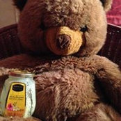 Gogo Bears foto