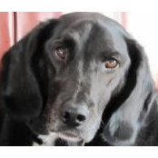 Heather McAuliffe's photo