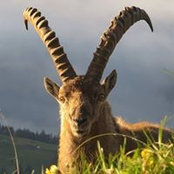 Edward Monovich's photo