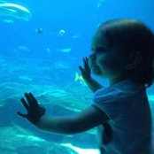 Lili Bustamante's photo