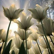 Foto de Doris Logar