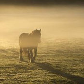 Doreen Lucask's photo