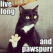 Jeremy Talbott's photo
