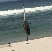 Jann Mills's photo