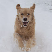 Reid Smith's photo