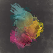 Cheese tatonka's photo