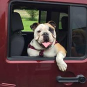 James Gardner's photo