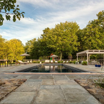 Stunning Before and After Poolscape Transformation