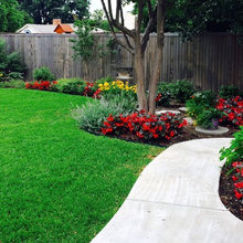 Landscape Front Yard