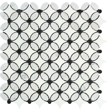 Thassos Honed Caligraphic Mosaic (Carrara Thassos (Oval) Black (Dots)), 10 sqft