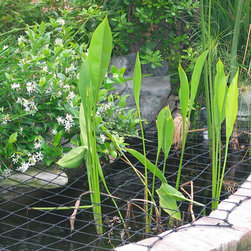 Pool Nets/Pond Nets/Spa Nets - Products