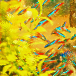 Aquarium Art 7 - Artwork