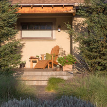 Garden Ideas