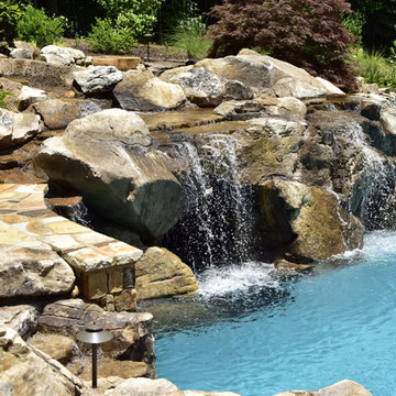 Natural freeform pool with Cave and Beach entry