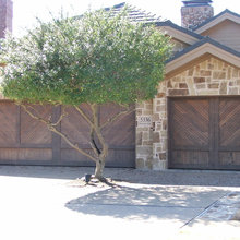 Garage Door