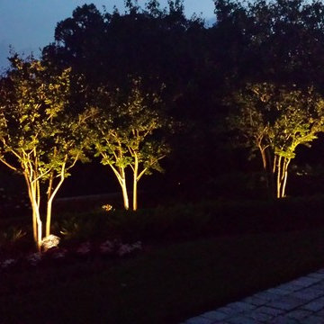 Lighting in Maryland