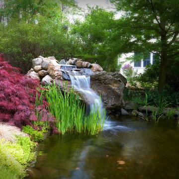 Water Features & Gardens