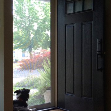 Single Security Door Viewed from Inside