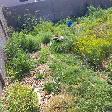 Wilfer Natural Landscape LLC