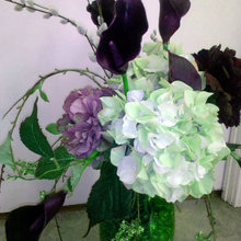 flora