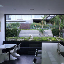 Picture Windows onto Garden