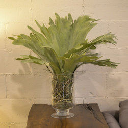 Decor & Accessories - Decorative Accents