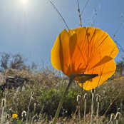 Emily M.'s photo
