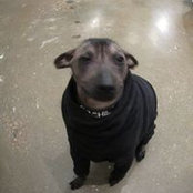 John Farrauto's photo